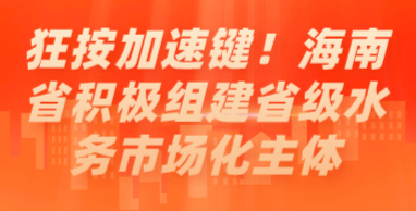 狂按加速鍵！海南省積極組建省級水務(wù)市場化主體